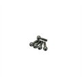 Xbility X-PVB-6-Ti Titanium Pivot Ball 6mm (5pcs)